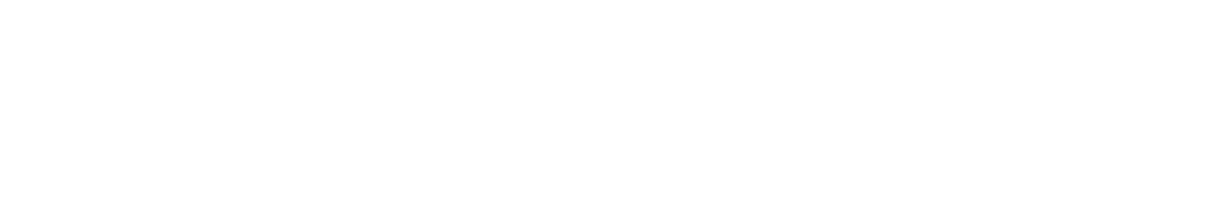 VOICE BRIDGE